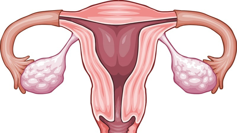 Bạn muốn mang thai: ăn gì hỗ trợ mang thai : ăn như thế nào và ăn gì?