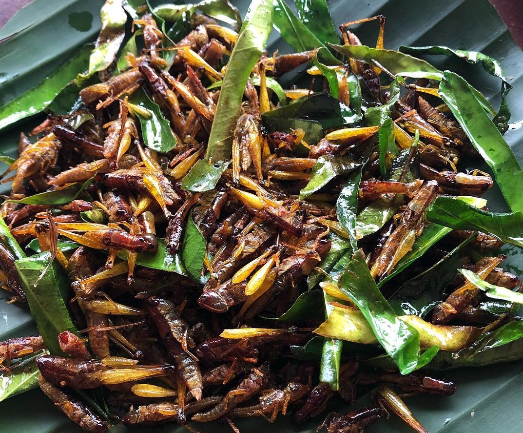 27 quán ăn gì ở đường thanh niên, ăn gì ở hồ tây hà nội