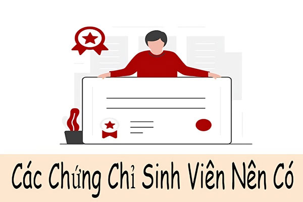 Các chứng chỉ sinh viên kinh tế nên có, chứng chỉ kế toán quốc tế Đánh gục nhà tuyển dụng