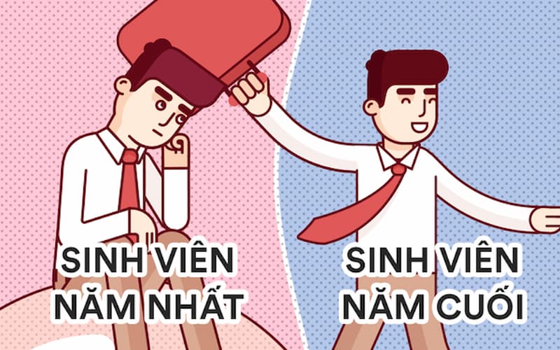 Cách gọi sinh viên các năm trong tiếng anh, sinh viên tiếng anh là gì