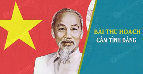 Cách viết bài thu hoạch Đoàn thanh niên, mẫu bài thu hoạch cảm tình Đoàn mới nhất 2024