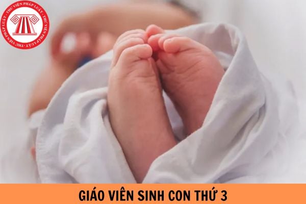 Giáo viên sinh con thứ 3 xếp loại gì ? just a moment