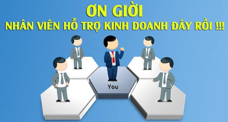 Hỗ trợ kinh doanh là gì ? mô tả công việc và thu nhập sale admin