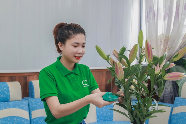 Hội sinh viên giúp việc theo giờ hà nội, giúp việc theo giờ