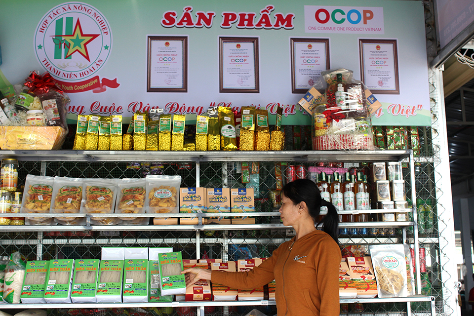 Hợp tác xã nông nghiệp thanh niên hoài ân, hội nghị ra mắt
