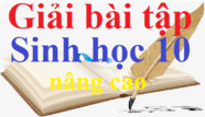 Sách giáo viên sinh 10 nâng cao hay nhất, sách giáo khoa sinh học lớp 10 nâng cao