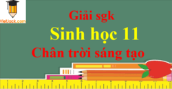 Sách giáo viên sinh 11 chân trời sáng tạo pdf, sách giáo viên lớp 11 chân trời sáng tạo