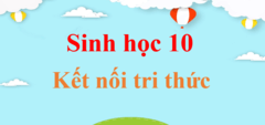 Sách giáo viên sinh học 10 kết nối tri thức với cuộc sống), sách giáo viên sinh học 10
