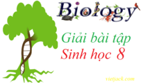 Sách giáo viên sinh học 8 - sách giáo viên sinh học lớp 8