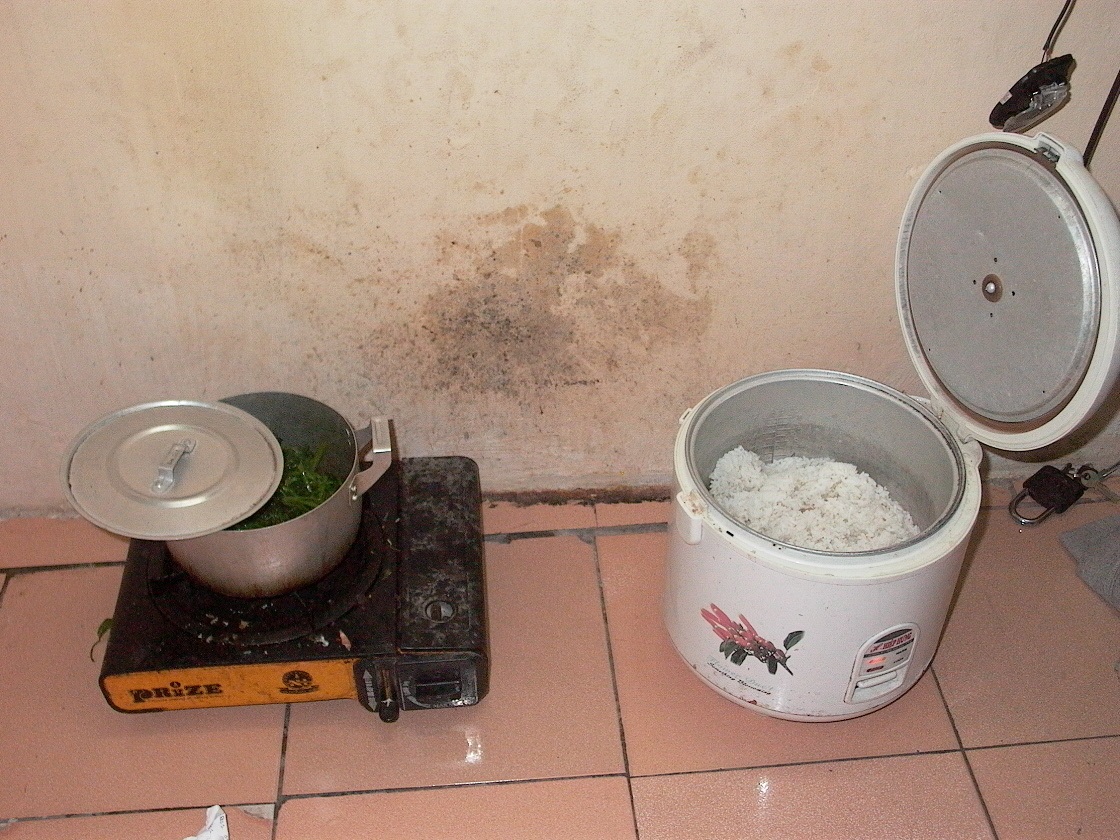 Sinh viên ăn gạo gì - gợi ý những loại gạo ngon dưới 20 ngàn đồng/ kg