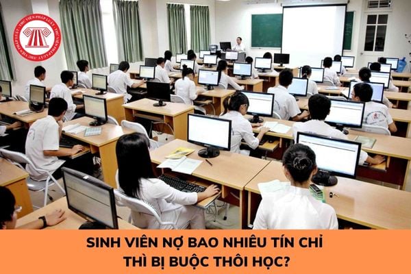 Sau khi bị buộc thôi học, sinh viên bị thôi học có học lại được không