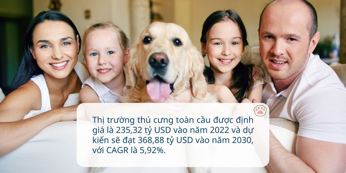 Sinh viên nên nuôi thú cưng gì, xu hướng nuôi thú cưng mới nhất hiện nay (phần 1)