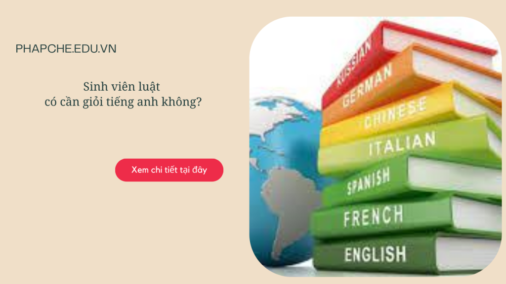 Sinh viên ngành luật tiếng anh là gì, 25 thuật ngữ tiếng anh chuyên ngành luật