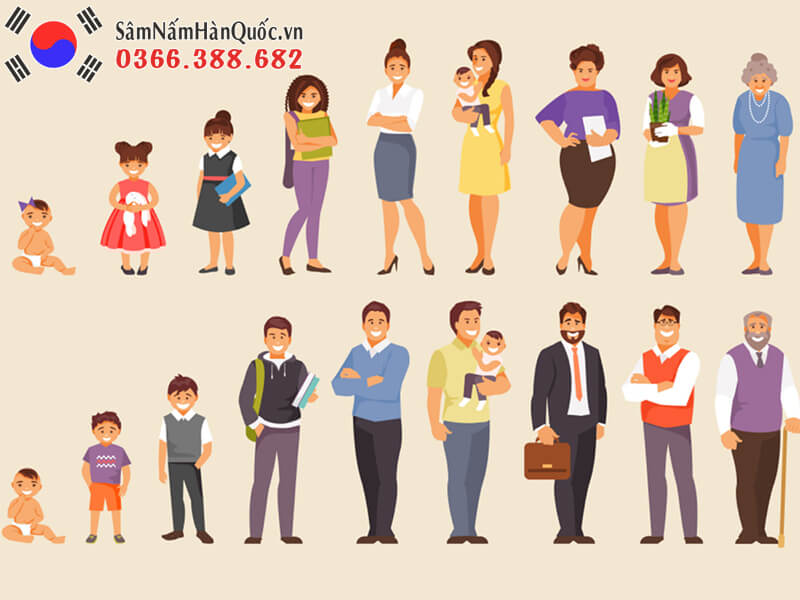 Thanh niên có nên uống sâm ? những độ tuổi nên dùng nhân sâm