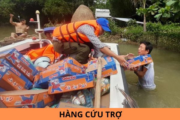 Tổ chức thanh niên gồm những gì ? vai trò, quyền và nghĩa vụ của thanh niên