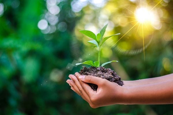Thanh thiếu niên nên làm gì Để sống xanh, 5 thói quen sống xanh giúp bảo vệ môi trường